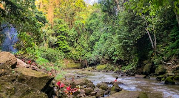 Obyek Wisata Goa Gajah