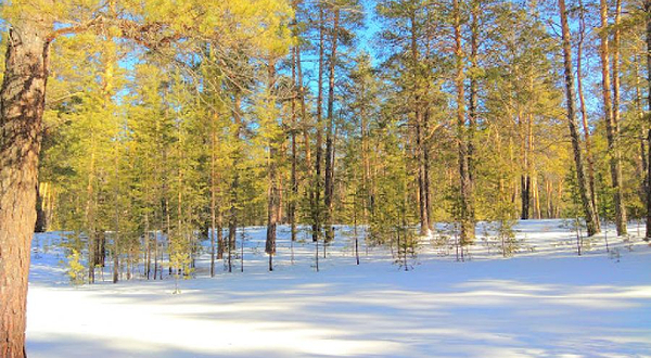 Lyzhnaya Baza G.semey