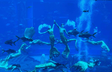 三亚亚特兰蒂斯失落的空间水族馆第 167 张图片