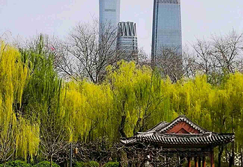 日坛公园第 66 张图片