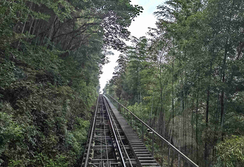 天目湖南山竹海第 139 张图片