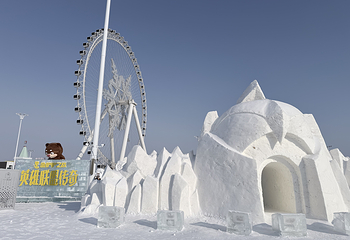 哈尔滨冰雪大世界第 195 张图片