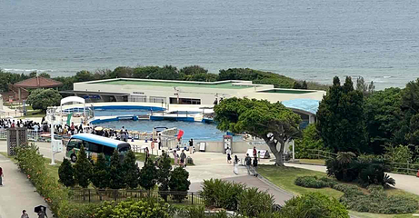 冲绳美丽海水族馆第 65 张图片