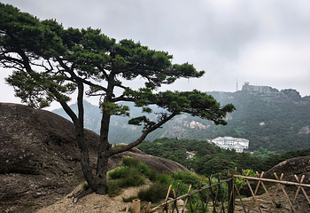 黄山风景区第 221 张图片