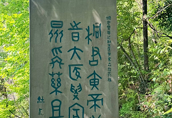 桐君山第 52 张图片