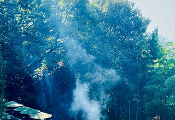 灵隐寺第 172 张图片