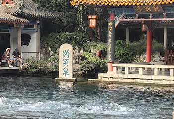 趵突泉景区第 168 张图片