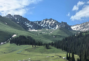 那拉提旅游风景区第 64 张图片