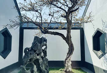 苏州博物馆第 222 张图片