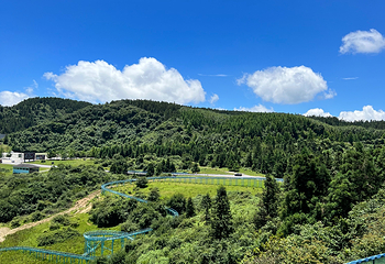 仙女山国家森林公园第 98 张图片