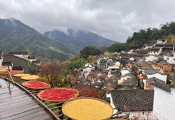 婺源篁岭景区第 130 张图片