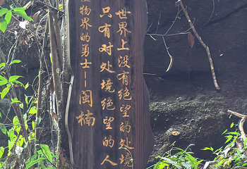 九龙潭第 84 张图片