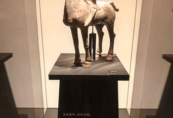 西安博物院第 180 张图片