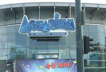 丹佛市区水族馆第 12 张图片