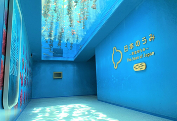 仙台海洋森林水族馆第 3 张图片