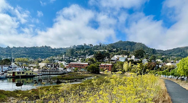 Sea Lion Sculpture by Al Sybrian