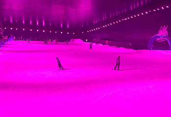 阿尔卑斯雪世界第 458 张图片