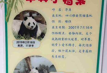 济南动物园第 39 张图片