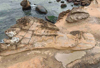 野柳地质公园第 40 张图片