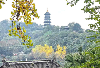 重庆园博园第 36 张图片