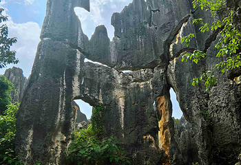 石林风景区第 181 张图片