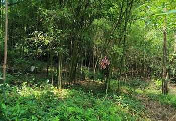 马岭古道第 26 张图片