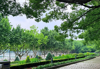 世纪公园第 84 张图片