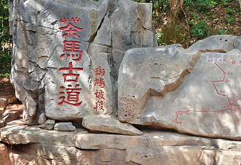 普洱茶马古道遗址公园第 107 张图片