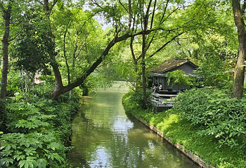 西溪国家湿地公园第 148 张图片