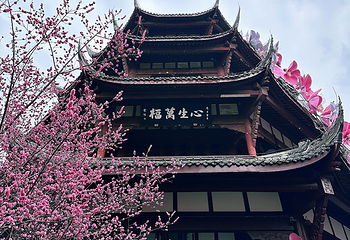 杜甫草堂第 214 张图片