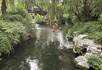 趵突泉景区第 253 张图片