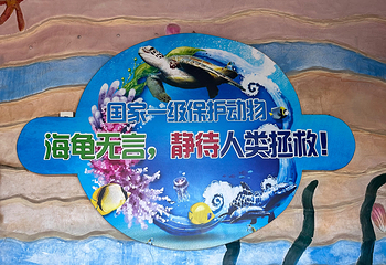 海龟湾第 31 张图片