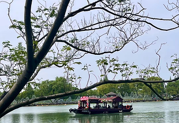 尚湖风景区第 104 张图片