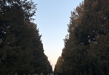 天坛公园第 233 张图片