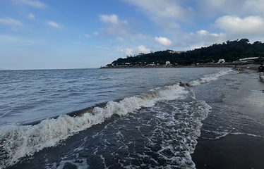 黑沙海滩第 46 张图片