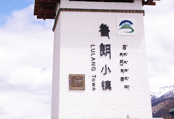 鲁朗国际旅游小镇第 23 张图片