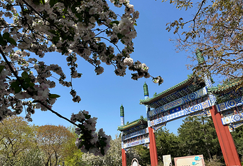 陶然亭公园第 43 张图片