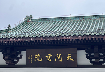 桃花江竹海景区第 24 张图片