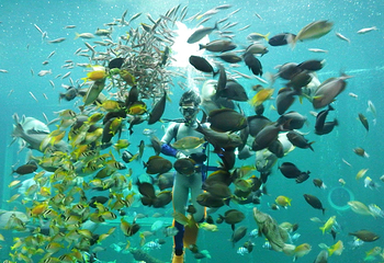 箱根园水族馆第 16 张图片