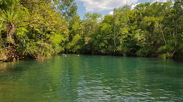 Territory Wildlife Park / Berry Springs Nature Park