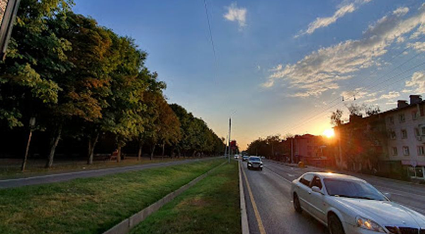 Kashtanovaya Alleya U Botanicheskogo Sada