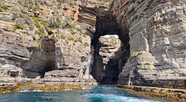 Tasman Island Cruises