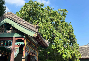 张学良旧居第 49 张图片