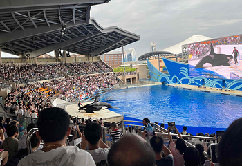 上海海昌海洋公园第 293 张图片