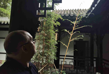 杜甫草堂第 485 张图片