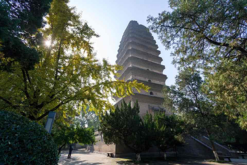 小雁塔遗址公园第 24 张图片
