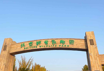 北京野生动物园第 228 张图片