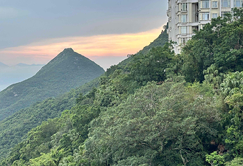 太平山顶第 180 张图片