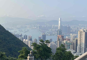 太平山顶第 260 张图片