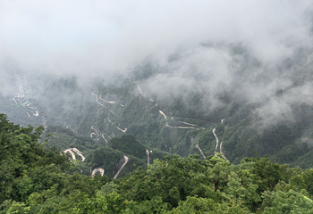 天门山国家森林公园第 206 张图片